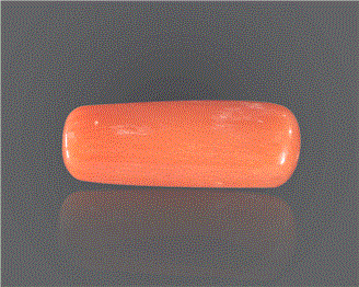 Natural Coral  7.88RTS-27394